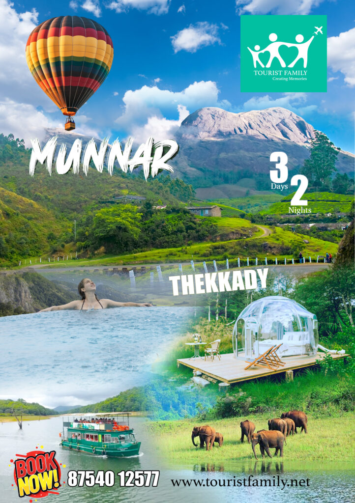 munnar tf